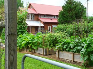 Willowdale Farm